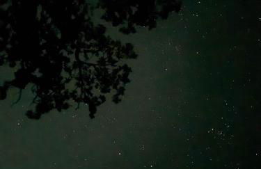 Magnificent 90-acre Texas Ranch Estate On San Marcos River - 5 Bedrooms - Newly Renovated & Professionally Furnished 9t Ranch By Boutiq - Foto 52