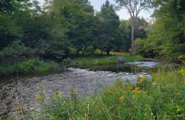 Bethel Woods Cabin - Foto 1