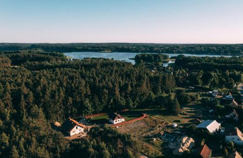 Łap Las Pelnik - Photo 61