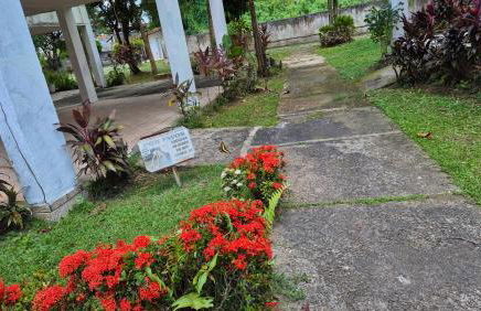 Fernando Guilhon - Foto 14