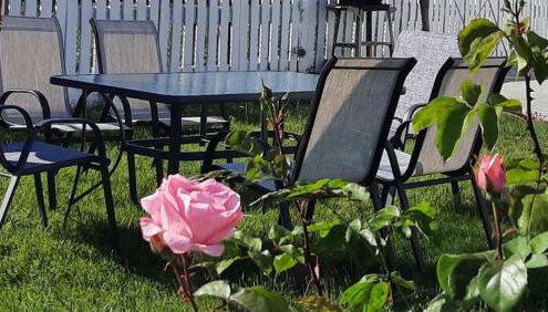 Chrissi Princess - Foto 2