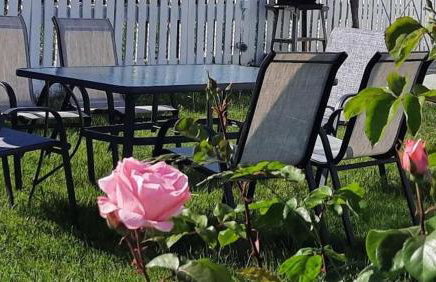 Chrissi Princess - Foto 2