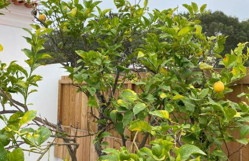 Comporta Center Villa - Foto 34