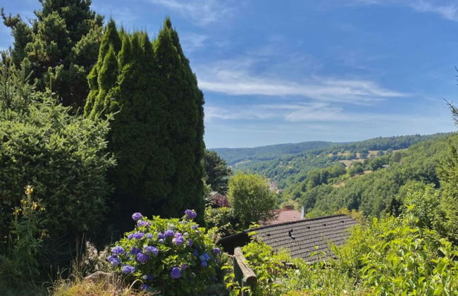 Lovely Apartment in Dammbach - Foto 21