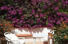 Charming House in Marsala with Private Garden - Foto 35