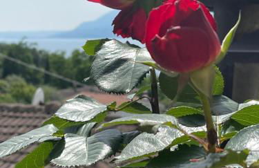 Le Due Terrazze - Foto 37