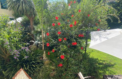 Villa Angelina Holiday Homes I Casa Glicine I A pochi chilometri da Sanremo e il suo Festival I Giardino I Parcheggio privato - Photo 27