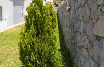 Anassia Villas - Foto 17