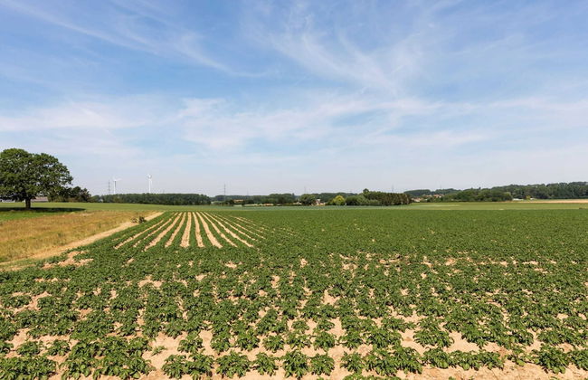 Villa in Kobbegem With Private Garden - Foto 38