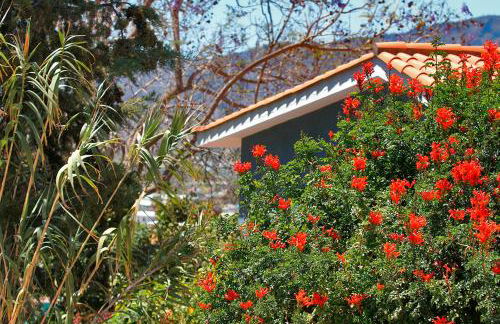 Casa Esther - Foto 23