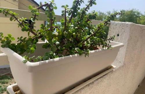 Costa Trabocchi appartamento sul Mare - Foto 42