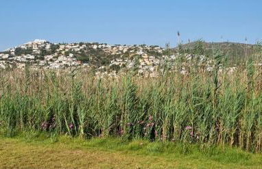 Luna de Peñíscola - Photo 22