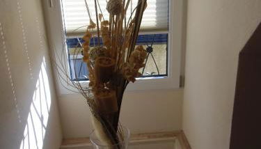 moselferienwohnungen-uerzig - Foto 3