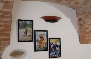 Ca' D'Rosina - Foto 23