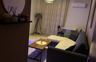 T2 Montpellier plein sud clim wifi terrasse de 16m2 - Photo 13