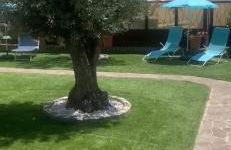 Casa vacanze villa Lido- Pangrazi Alessandra - Foto 14