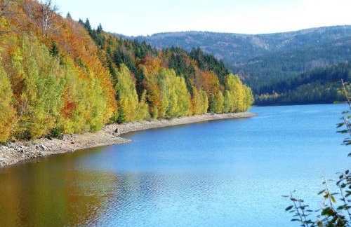 Ferienwohnung Breit - Kirchdorf - Foto 16