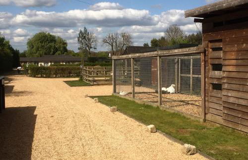 Willow Court Farm Studio South & Petting Farm, 8 mins from Legoland & Windsor, 15 mins from Lapland UK - Foto 72