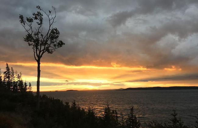 Ledgelawn - NEW 2023! - Foto 28