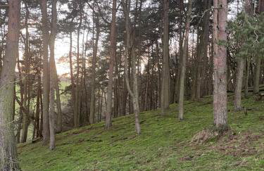 The Forge - Photo 26