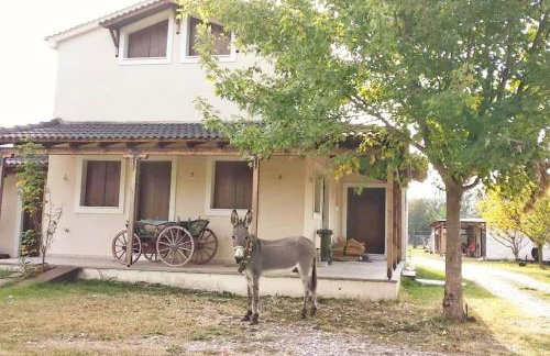 Το σπίτι στο αγρόκτημα - Foto 1