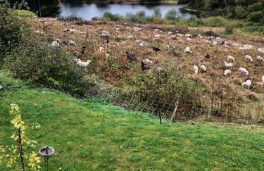 Appartement Max - Foto 22