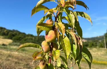 Villa Podere Vista Verde - Foto 58