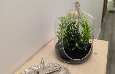 Cris Place - Foto 13