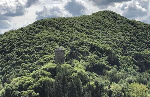 Old Winemaker's House Müntnich - Foto 32