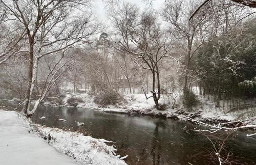 Riverfront Blue Jay Cabin - Foto 15