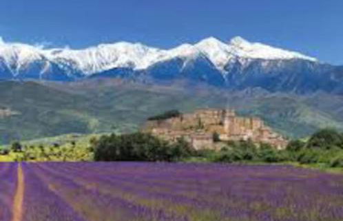 Mas de Barthe Avignon, Ile de la Barthelasse - Foto 8