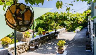 O Refúgio - Photo 4