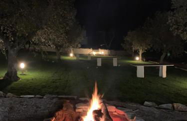 Herdade Da Maridona - Agroturismo - Foto 64