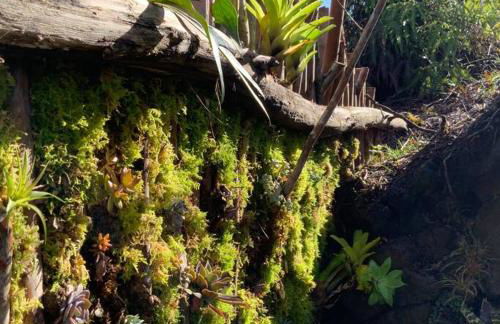 Exotic Garden cottage at amazing volcano fissure - Foto 43