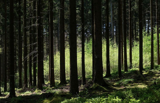 Holiday Home in Meyerode With Terrace - Foto 40