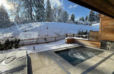 Ziegelberg Chalets - Photo 53