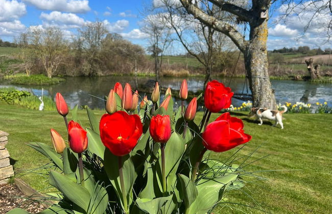 Fabulous Barn in Great Wolford, Moreton in Marsh - Foto 15