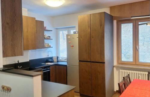 Lakes of Fusine three border area - Foto 4