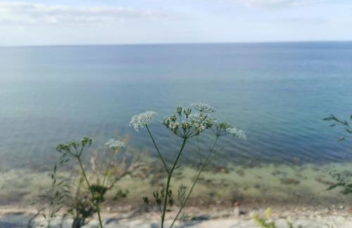Nordic Bo- strandnahe, gemütliche Ferienhaushälfte in Schwedeneck, Hunde herzlich Willkommen - Foto 9