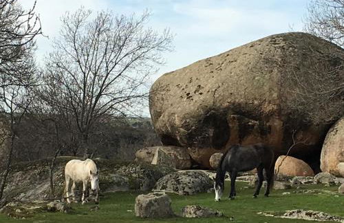 Villa Aurelia - Casa de campo con jardín y piscina entre Madrid y Segovia - Photo 48