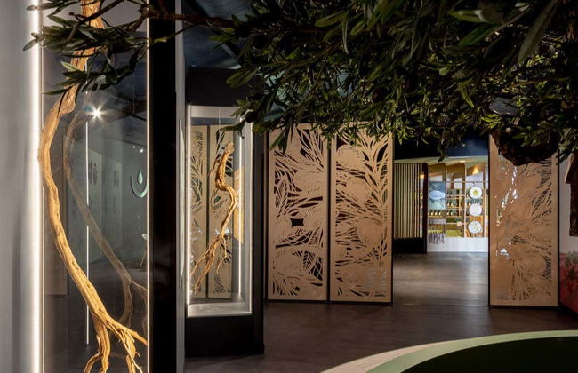 Visita a la finca La Pontezuela con cata de aceites - Foto 5