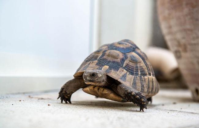 La Maison de Famille - Foto 30