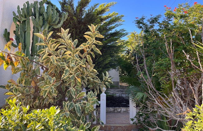 Costa Blanca Poolside Bliss - Foto 22