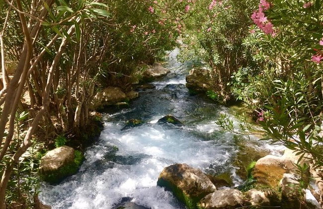 Desde Albir, Benidorm & Calpe : Excursión de un día a Guadalest & Algar Falls - Foto 8