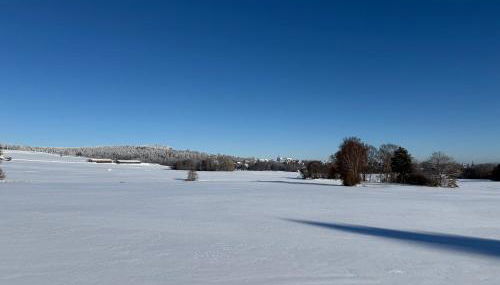 Ziegelhüttenblick -auch für Monteure geeignet - Foto 2