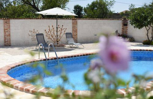 House & Apartment Palača - Foto 14