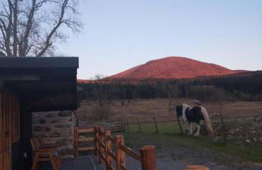 1 Bed Cabin in the Magical Galloway Forest Park - Foto 22