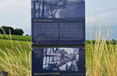 Gartenglück, entspannt wohnen am Obstwanderweg - Foto 30