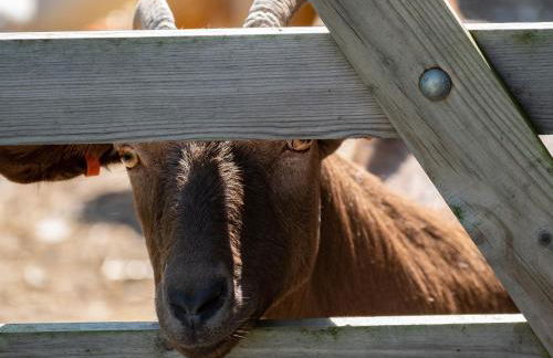 Atlantic Lodge - Photo 28