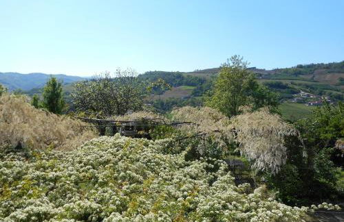 Agriturismo Cascina Serra - Foto 16